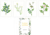 Obrázek Třísložkové karty léčivé rostliny