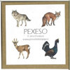 Obrázek Pexeso lesní zvířata