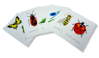 Obrázek Miniplakáty hmyz