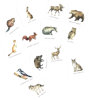 Obrázek Pexeso lesní zvířata