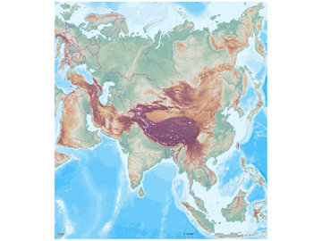 Obrázek Obří mapa Asie